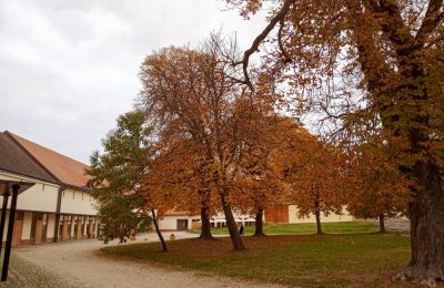 Fotogalerie: Jak čaroval podzim v Telči a okolí