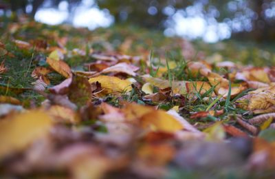 Podzimní únava, nebo little bit SAD? Aneb co to je Sezónní afektivní porucha a jak si udržet dobrou náladu i v podzimních měsících